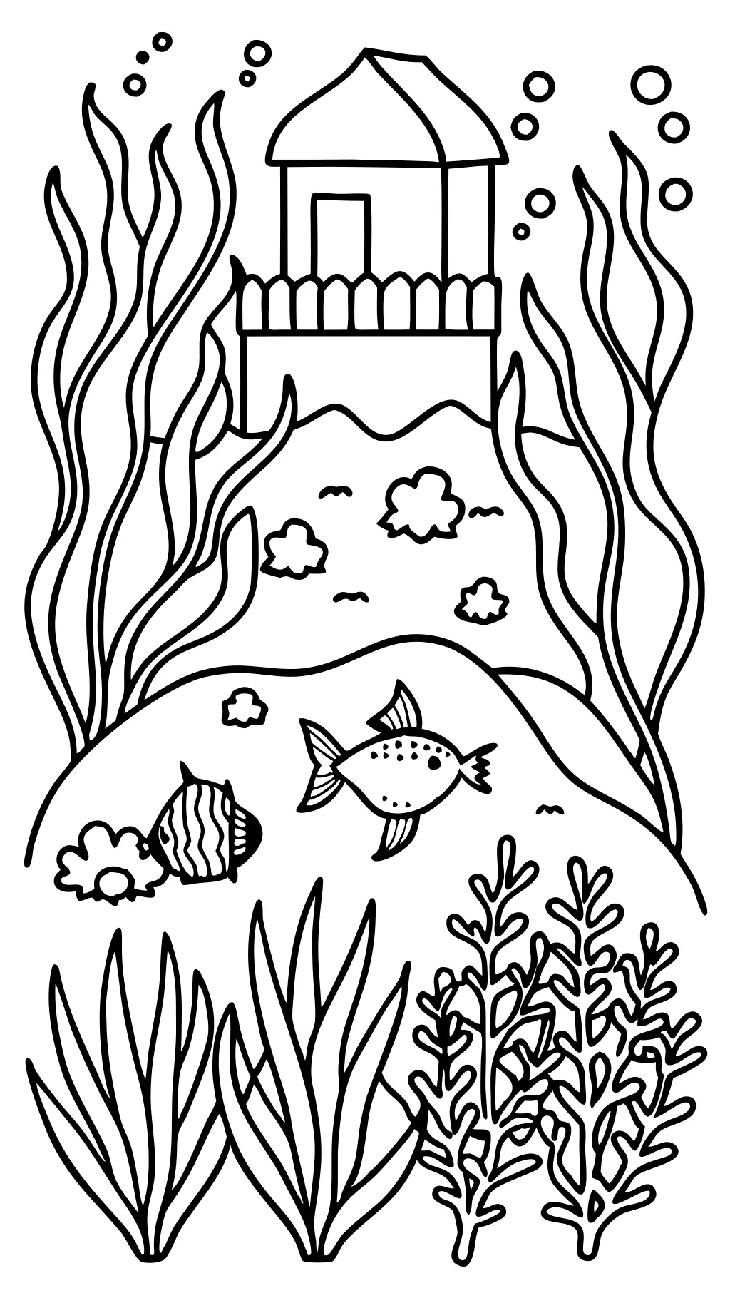 macroalgae coloring page farming